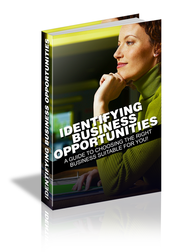 Identifying Business Opportunities