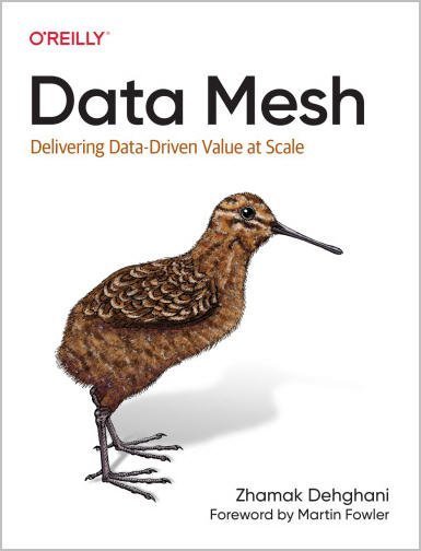 Data Mesh: Delivering Data-Driven Value at Scale 1st Edition by Zhamak Dehghani, ISBN-13: 978-1492092391